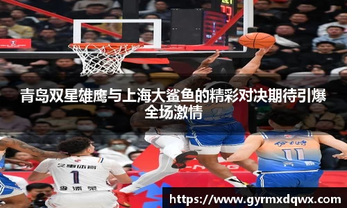 青岛双星雄鹰与上海大鲨鱼的精彩对决期待引爆全场激情